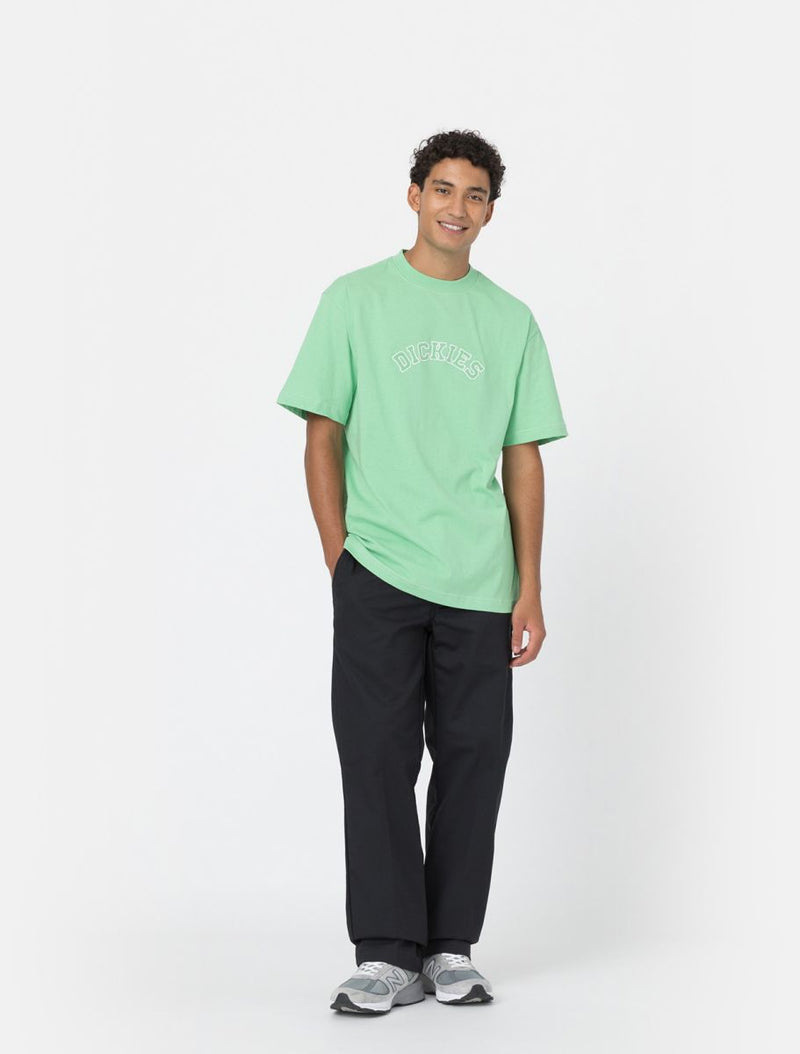 Dickies 874 Work Flex Pantaloni Black